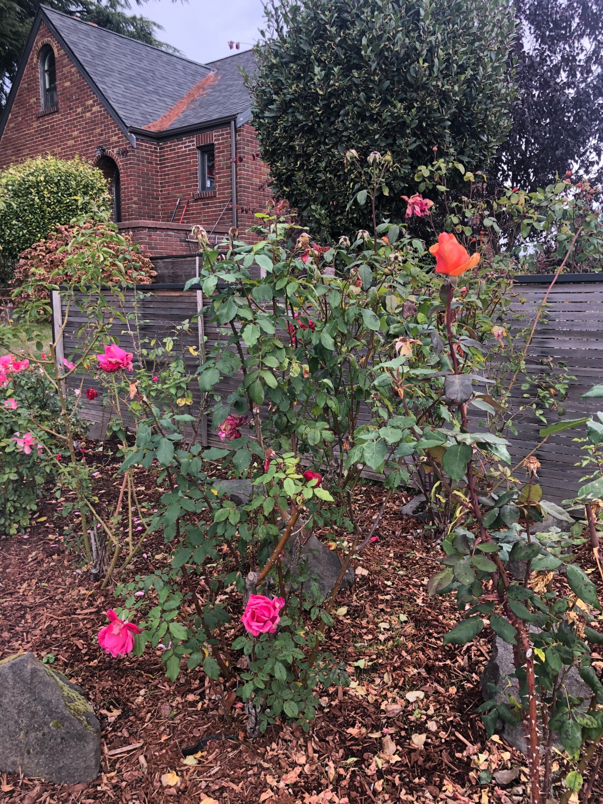 Halfway through October.